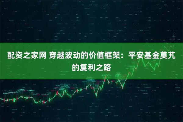 配资之家网 穿越波动的价值框架：平安基金莫艽的复利之路